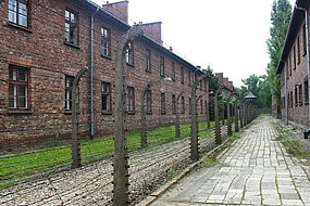 Bild av Auschwitz Birkenau